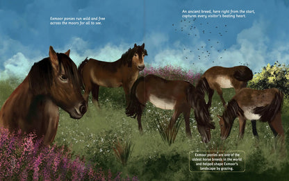 Can You Read Exmoor National Park?