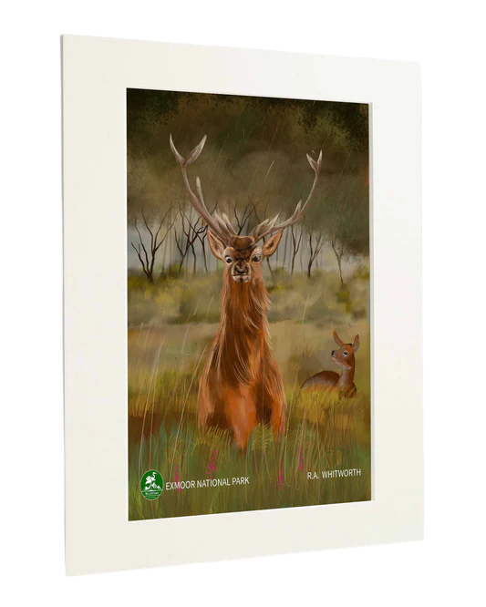 Exmoor National Park - Standart Art Print