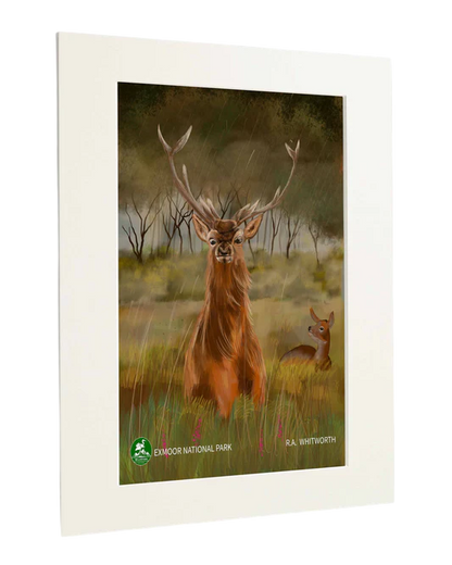 Exmoor National Park - Standart Art Print