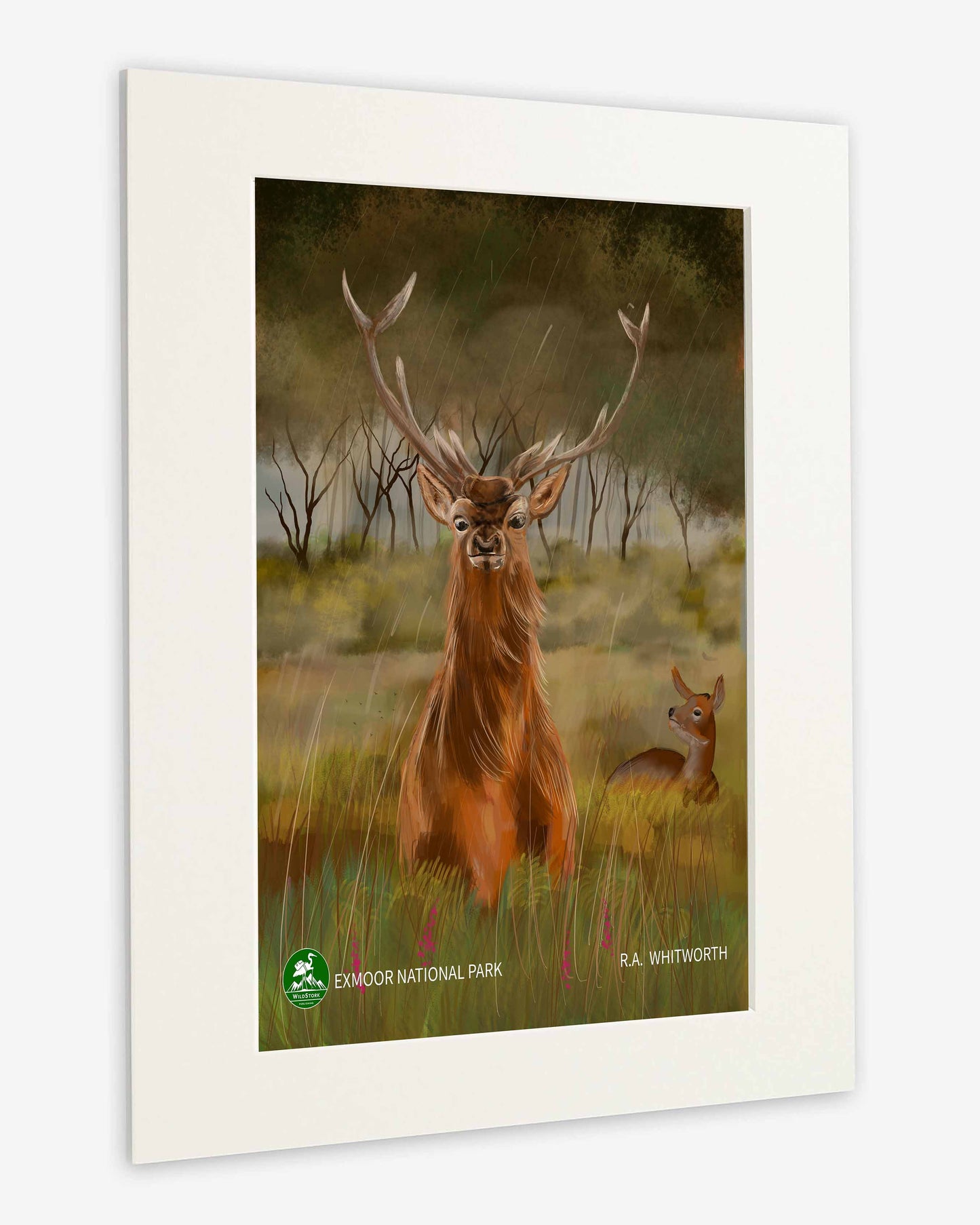 Exmoor National Park Print