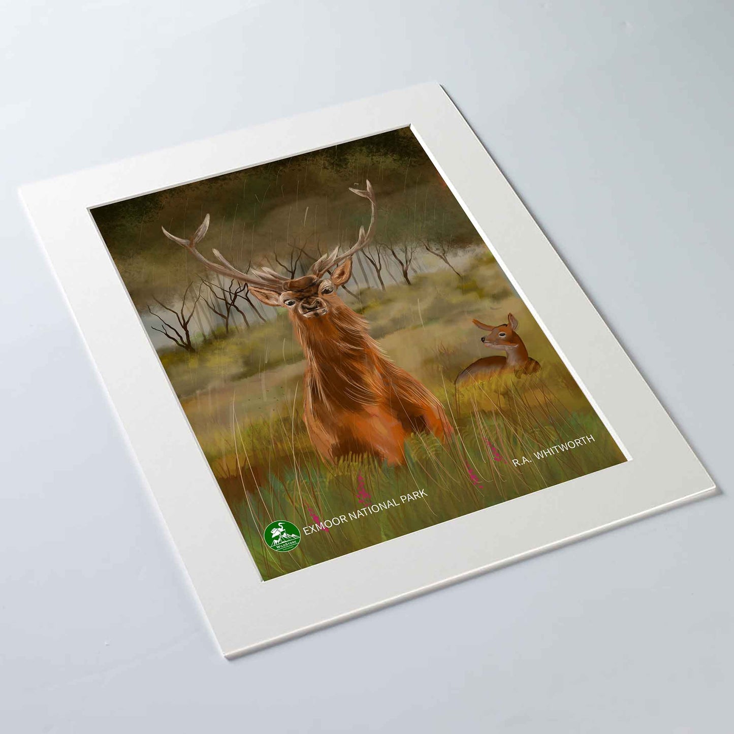 Exmoor National Park Print
