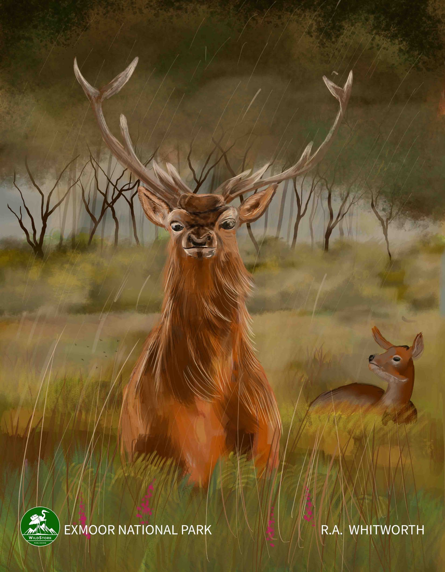 Exmoor National Park Print