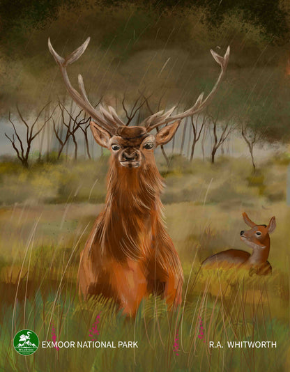 Exmoor National Park Print