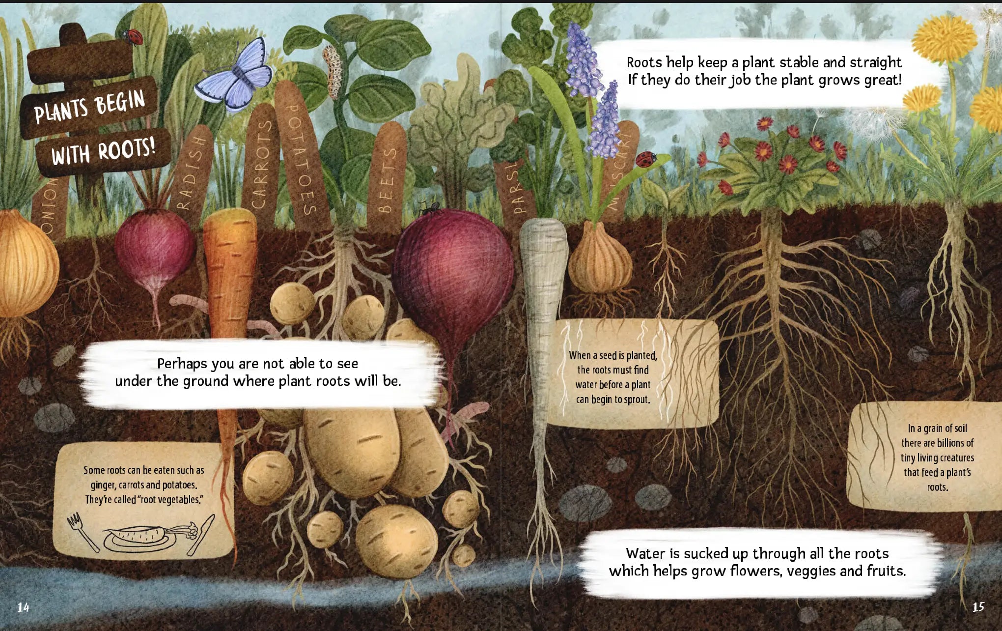 Can You Read A Flower Garden?