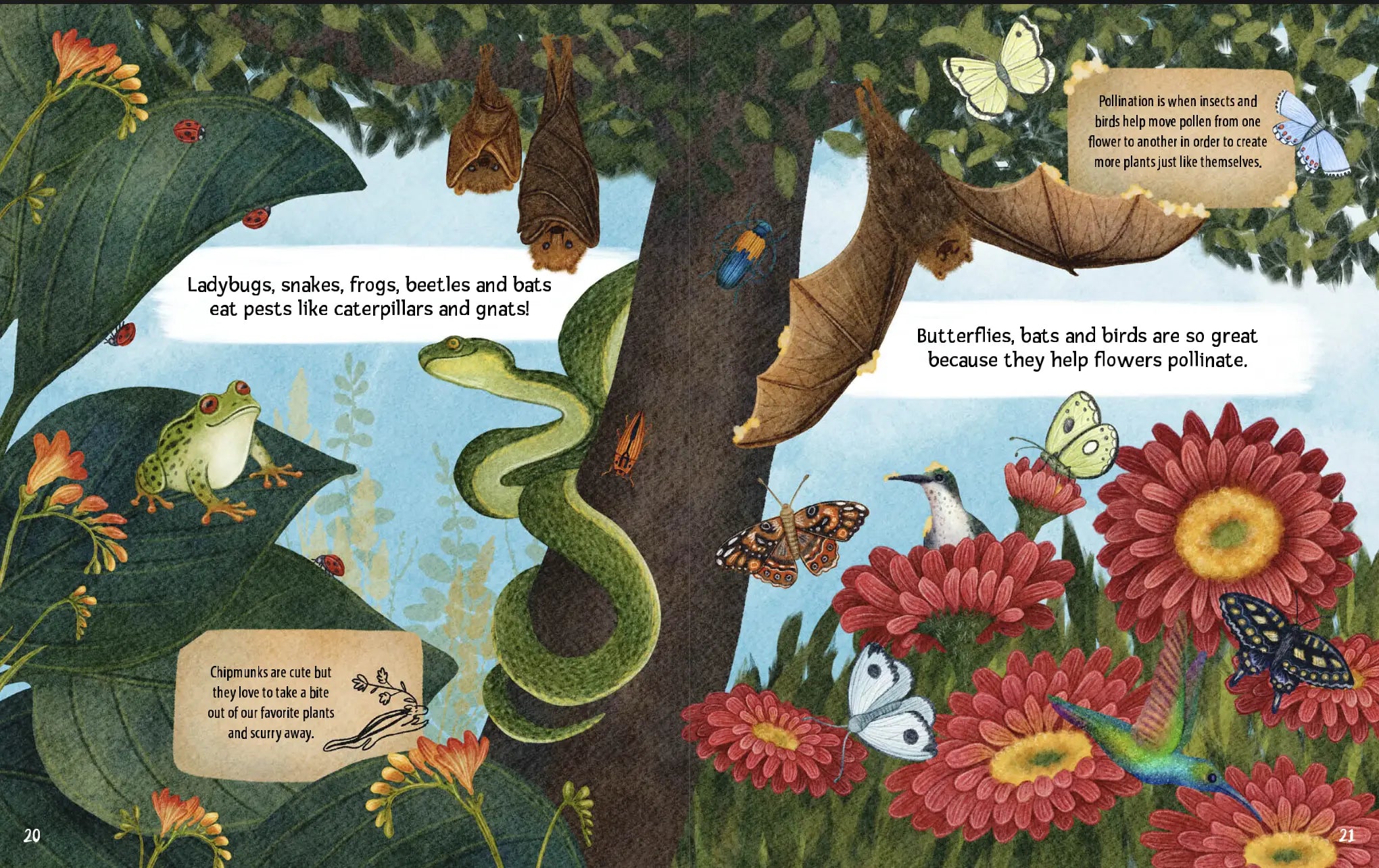 Can You Read A Flower Garden?