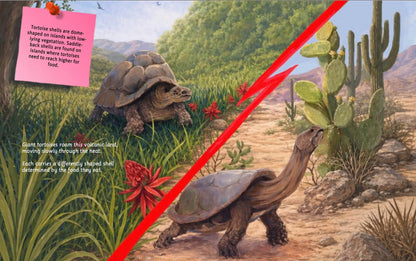 Can You Read Galápagos National Park?