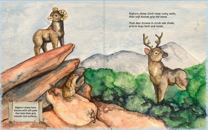Can You Read Garden Of The Gods?