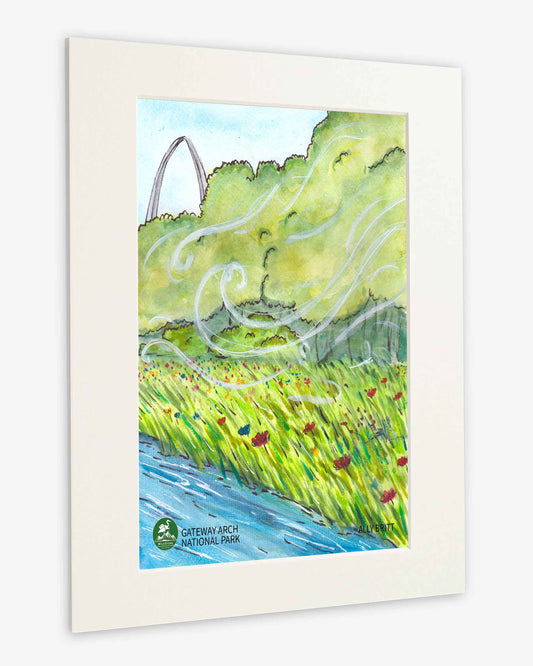 Gateway Arch National Park Art Print