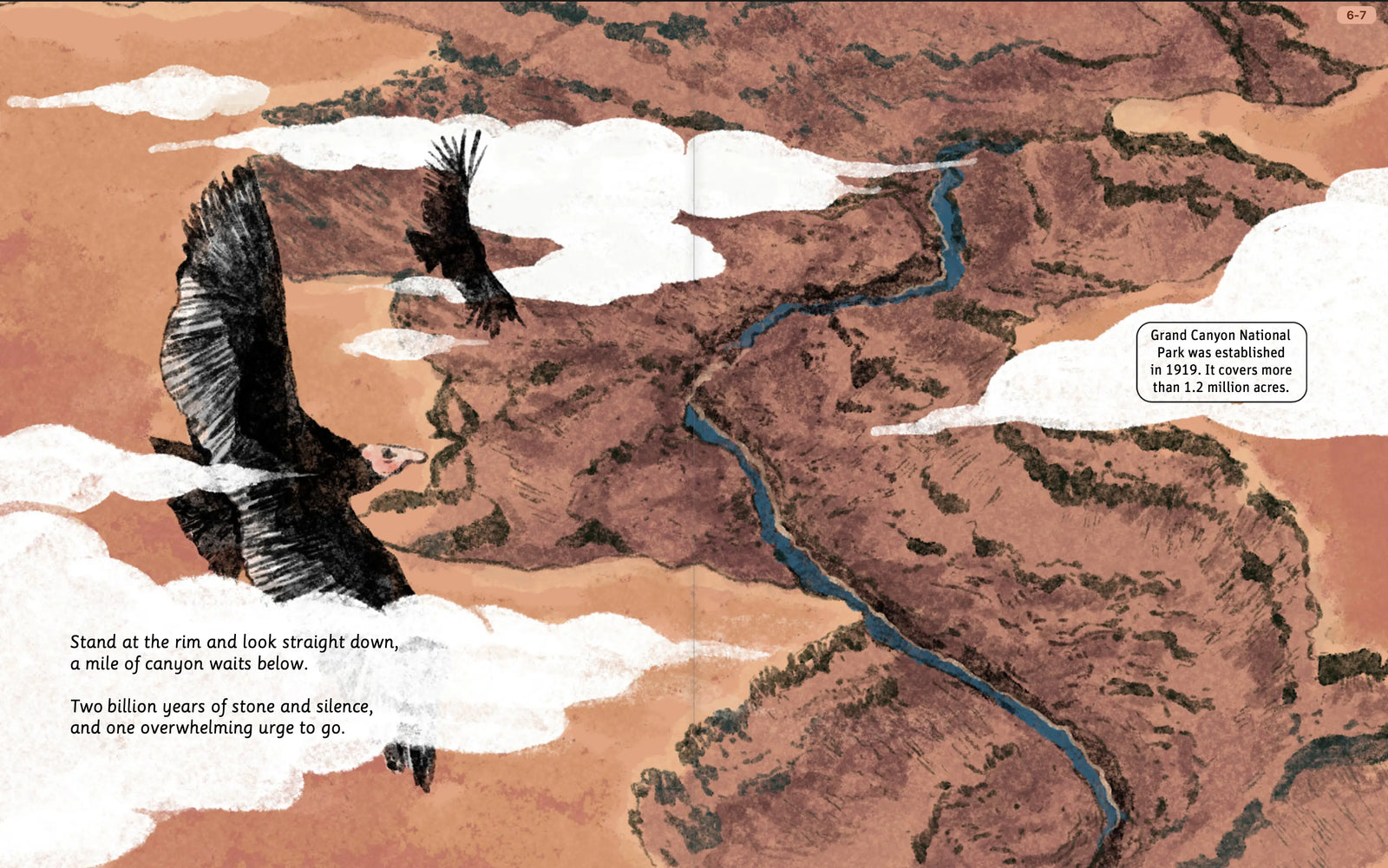 Illustrated Grand Canyon wildlife spread