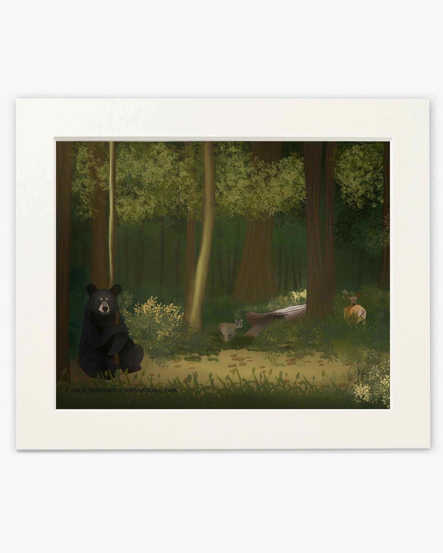 Great Smoky Mountains - Standart Art Print