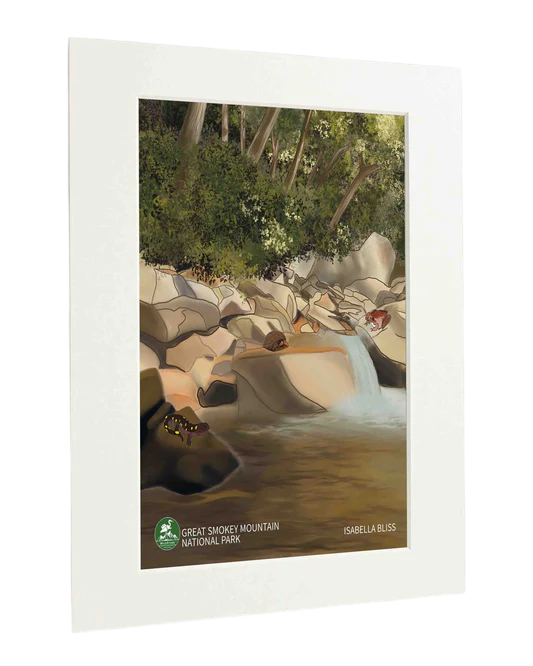 Great Smoky Mountains - Standart Art Print