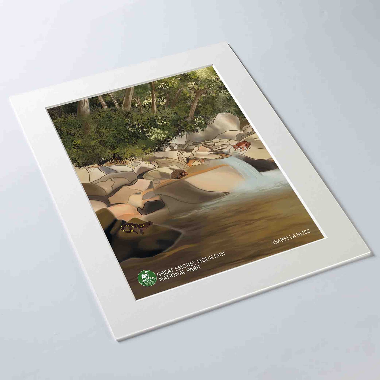 Great Smoky Mountains Print