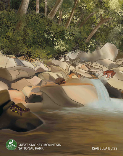 Great Smoky Mountains Print