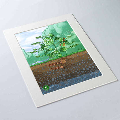 Herbs Art Print