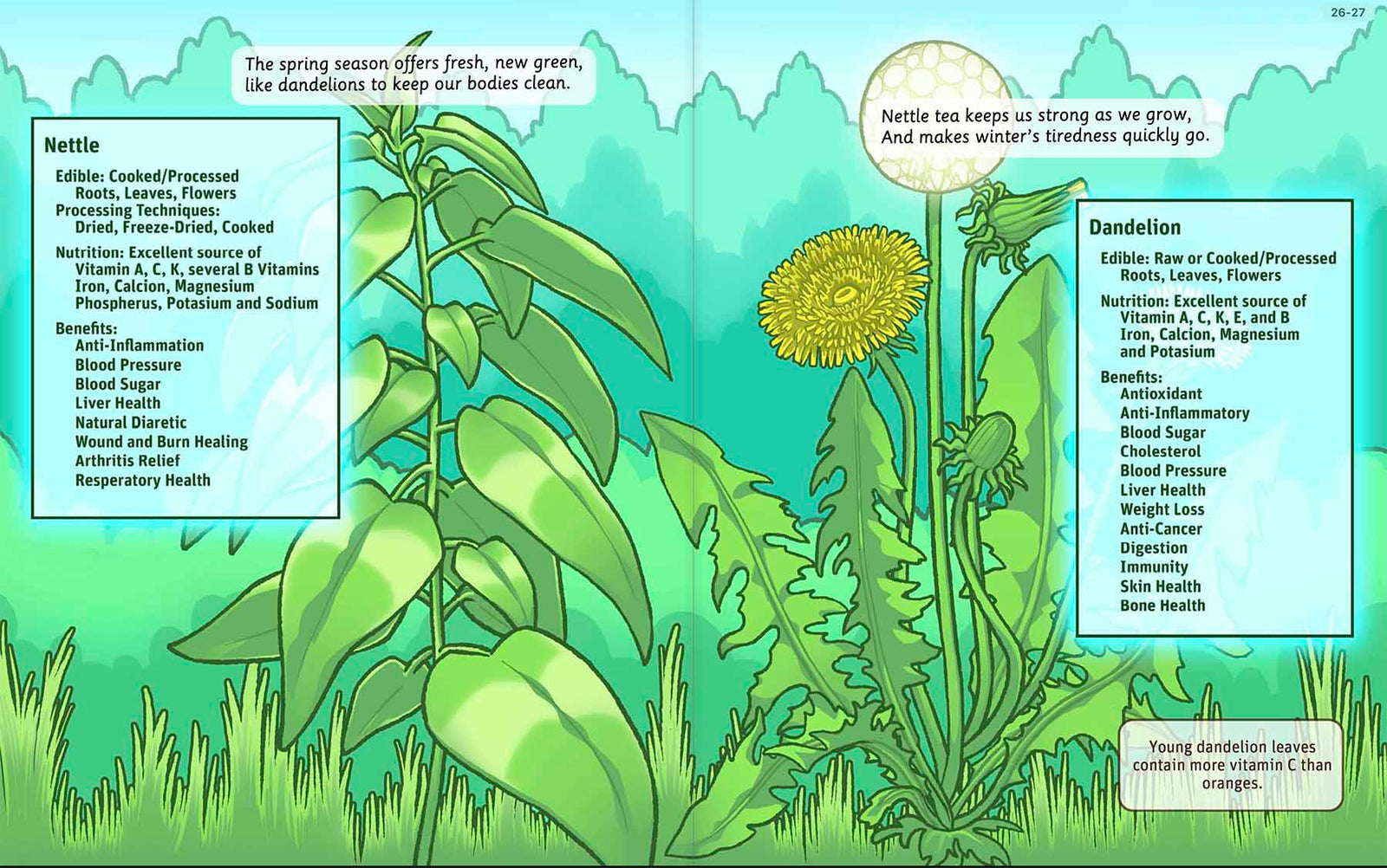 Illustrated herb garden and pollinator spread