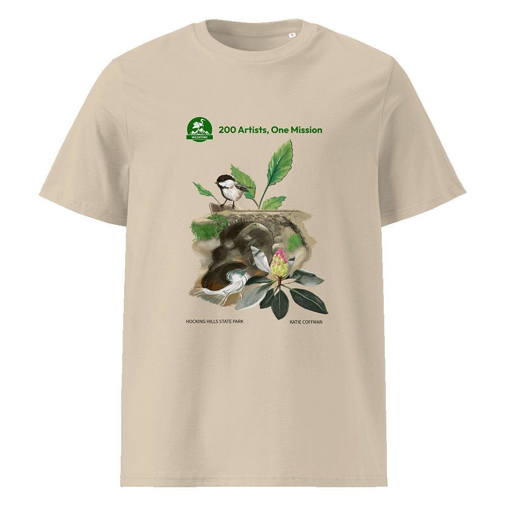 Hocking Hills State Park T-Shirt