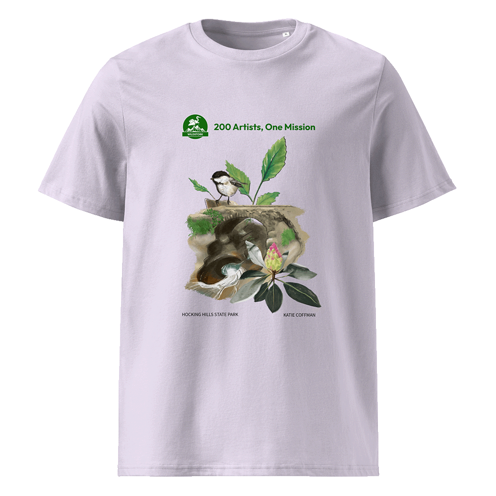 Hocking Hills State Park T-Shirt