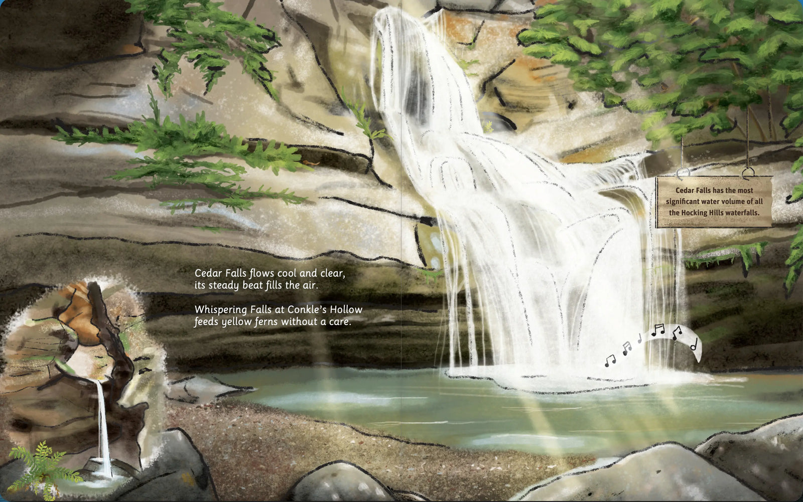 Illustrated Hocking Hills State Park wildlife spread
