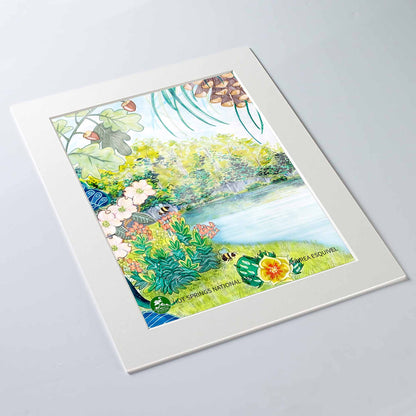 Hot Springs National Park Print