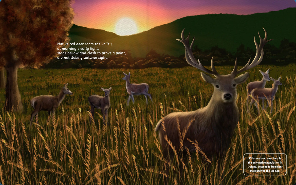 Illustrated Killarney National Park lake and mountain spread