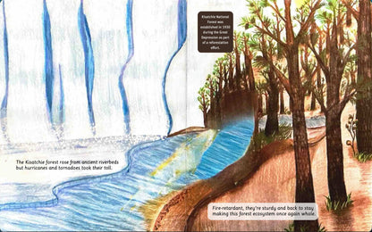 Can You Read Kisatchie National Forest?