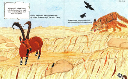 Can You Read Masada National Park?