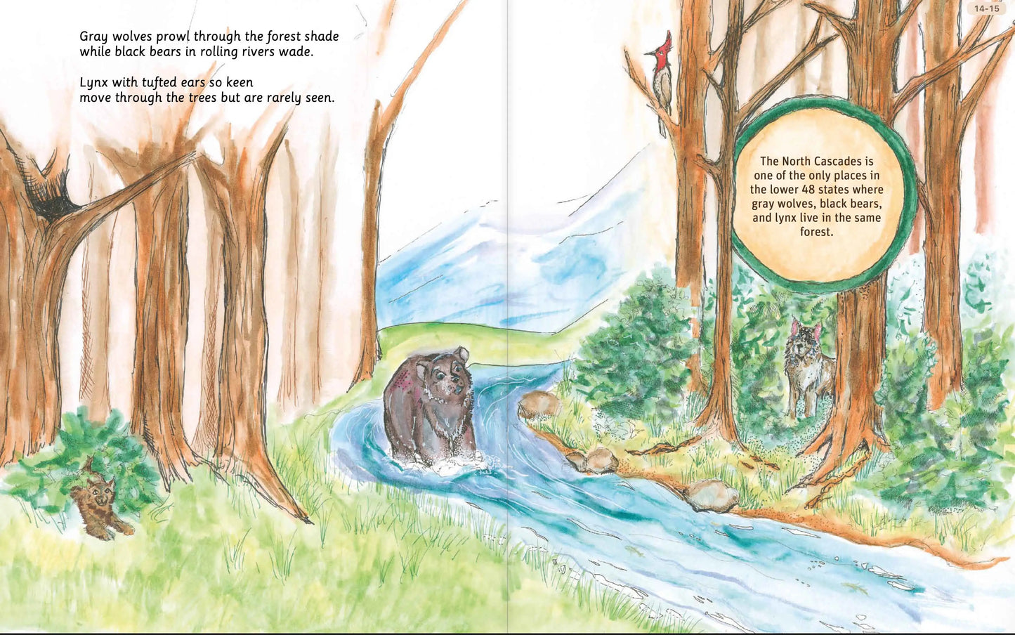 Can You Read North Cascades National Park?