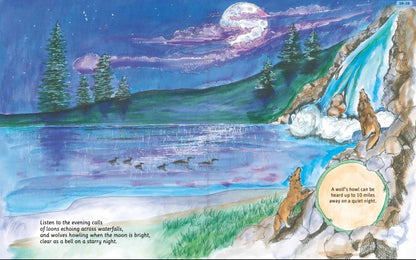 Can You Read North Cascades National Park?