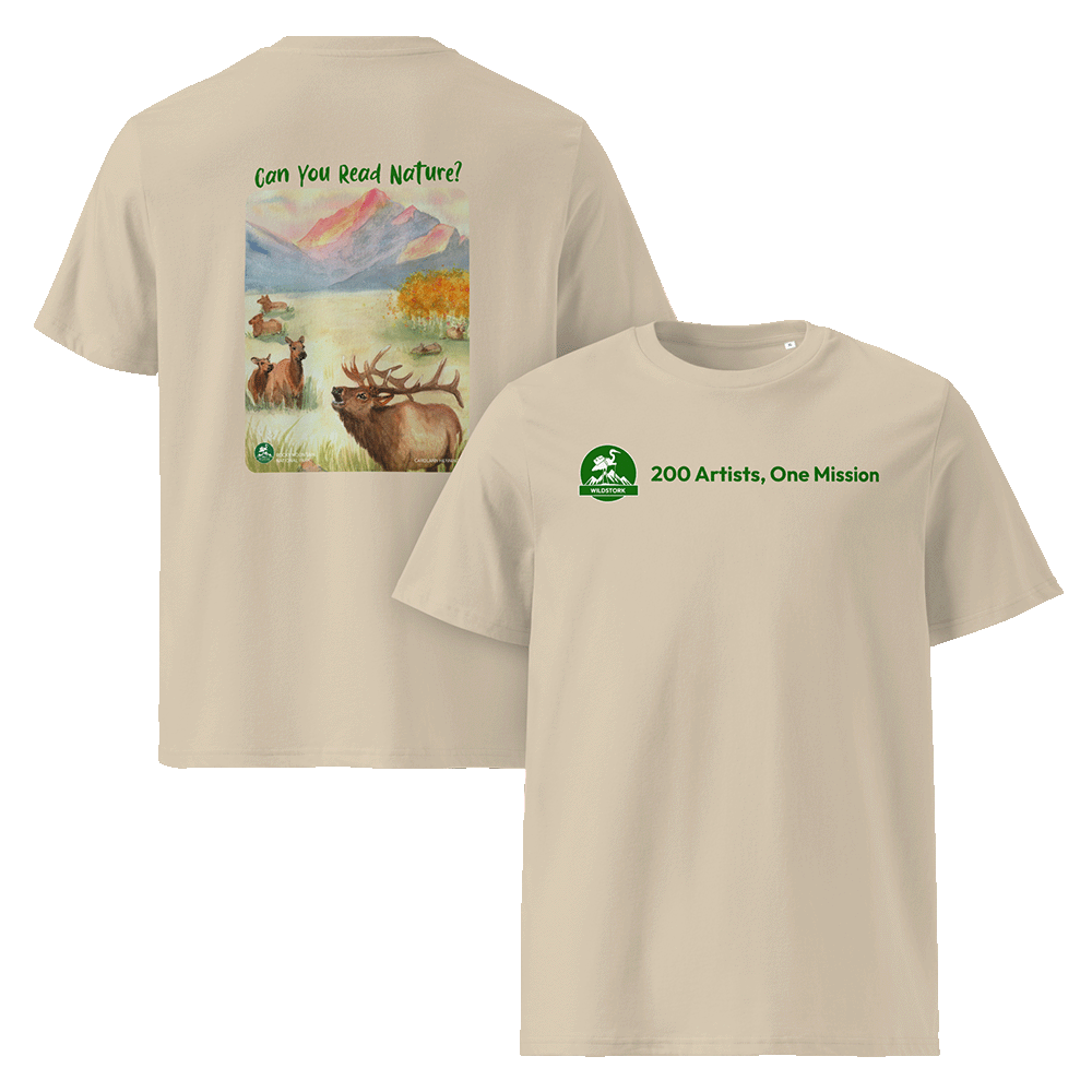 Rocky Mountain National Park T-Shirt