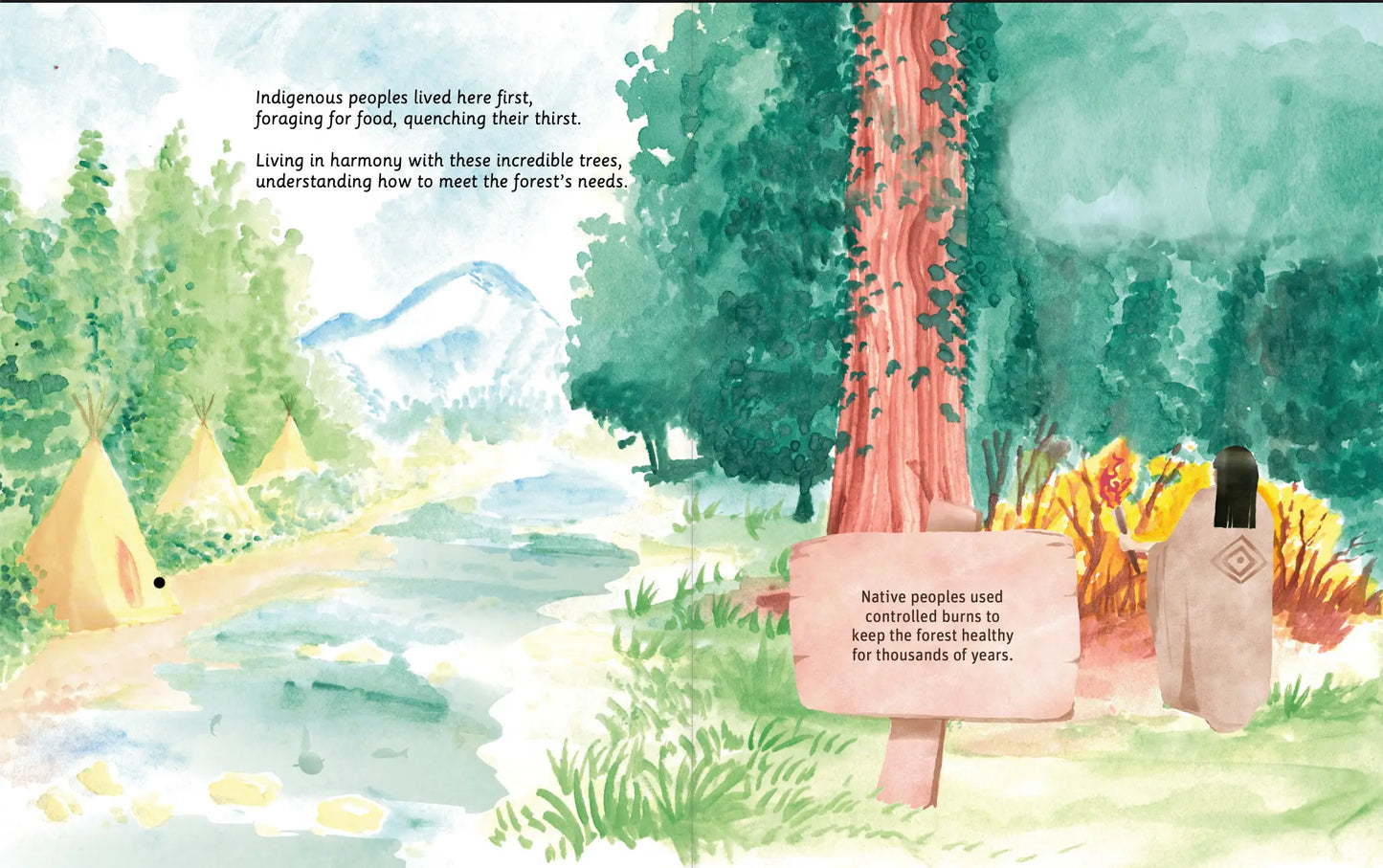 Can You Read Sequoia National Park?