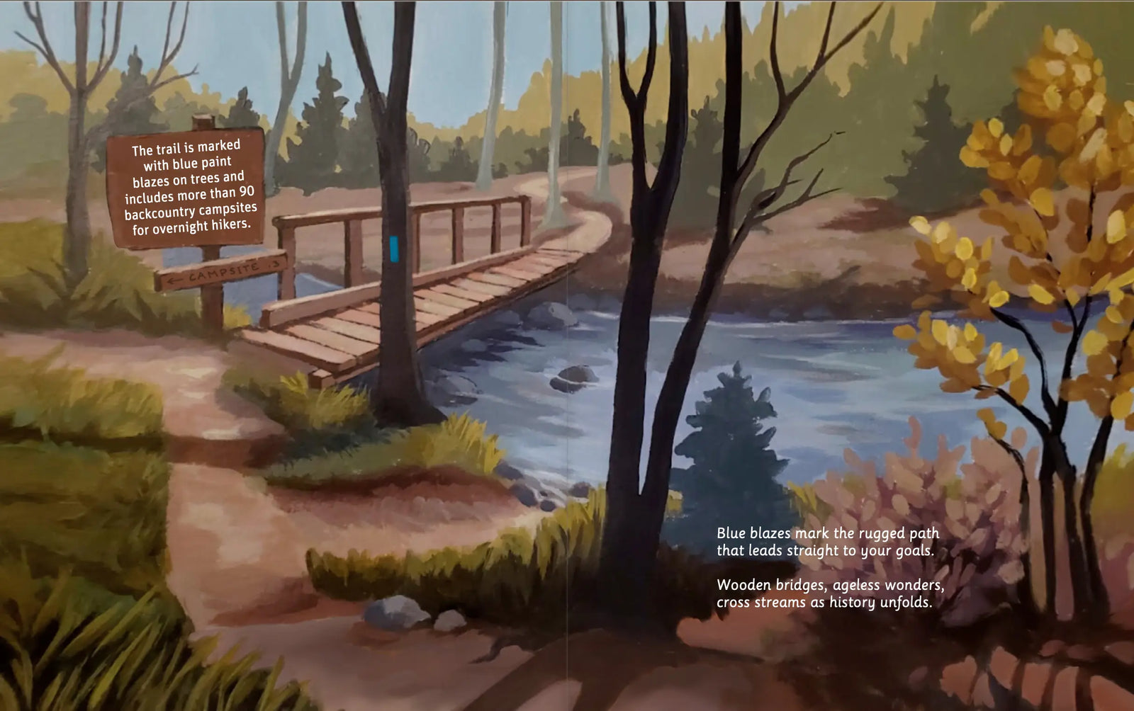 Illustrated Superior Hiking Trail forest spread