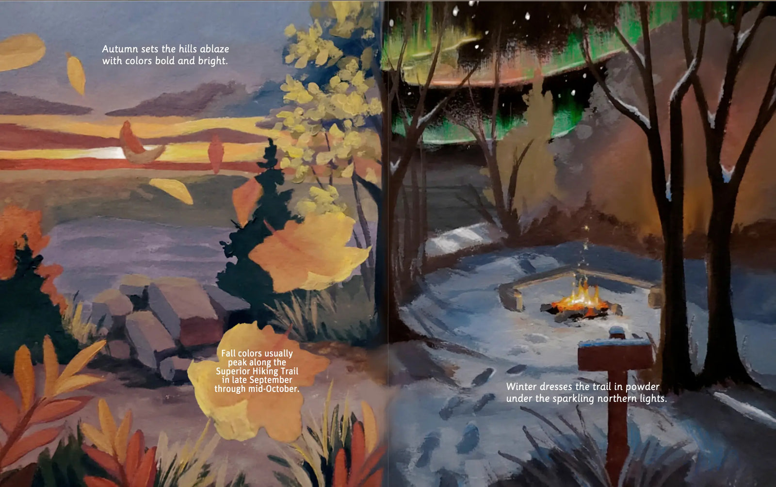 Illustrated Superior Hiking Trail wildlife spread