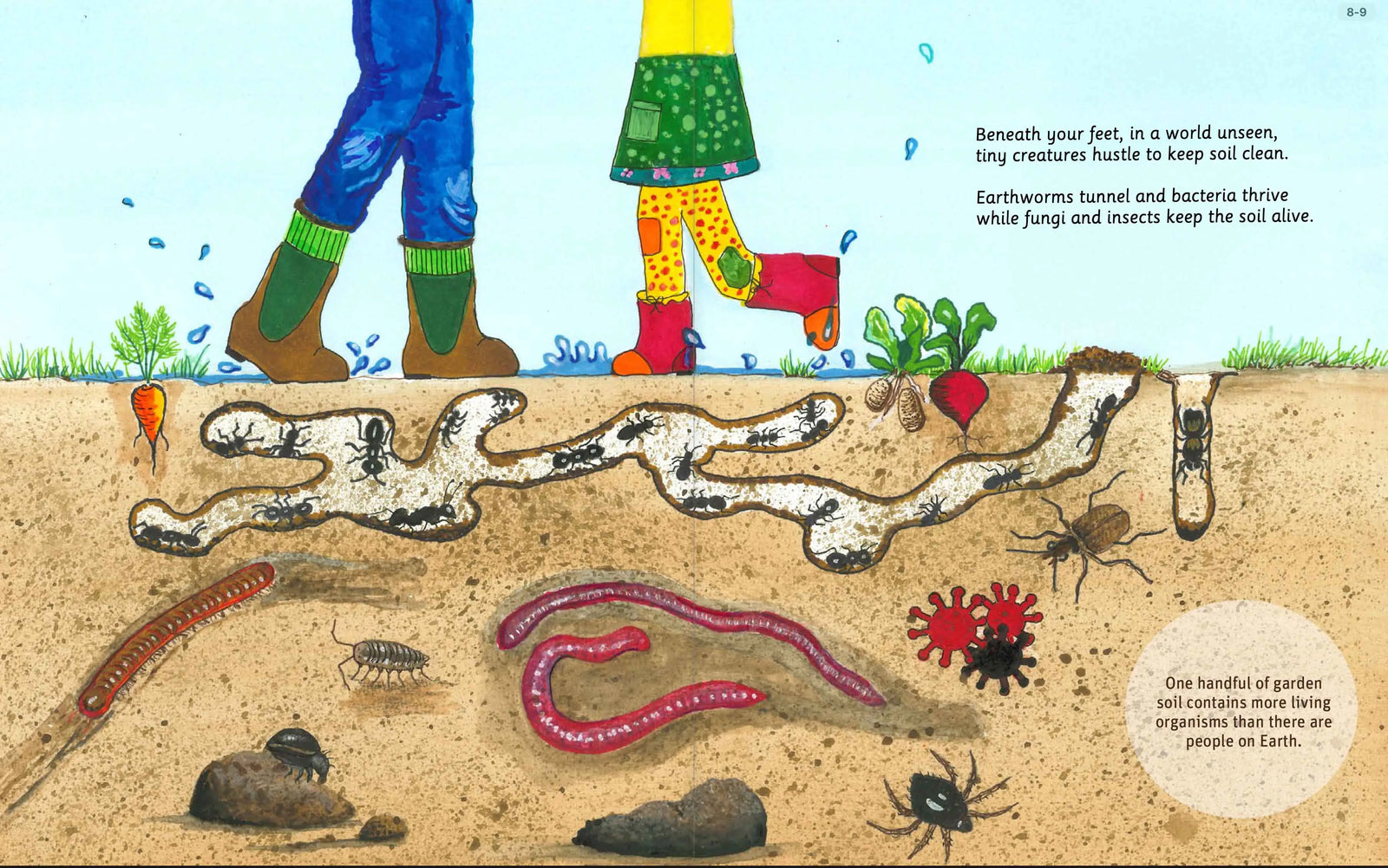 Illustrated vegetable garden planting spread