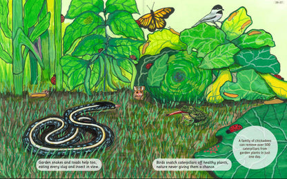 Can You Read Vegetable Garden?